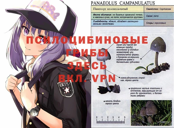 амфетамин Алексеевка