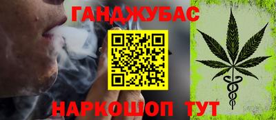гашик Гай