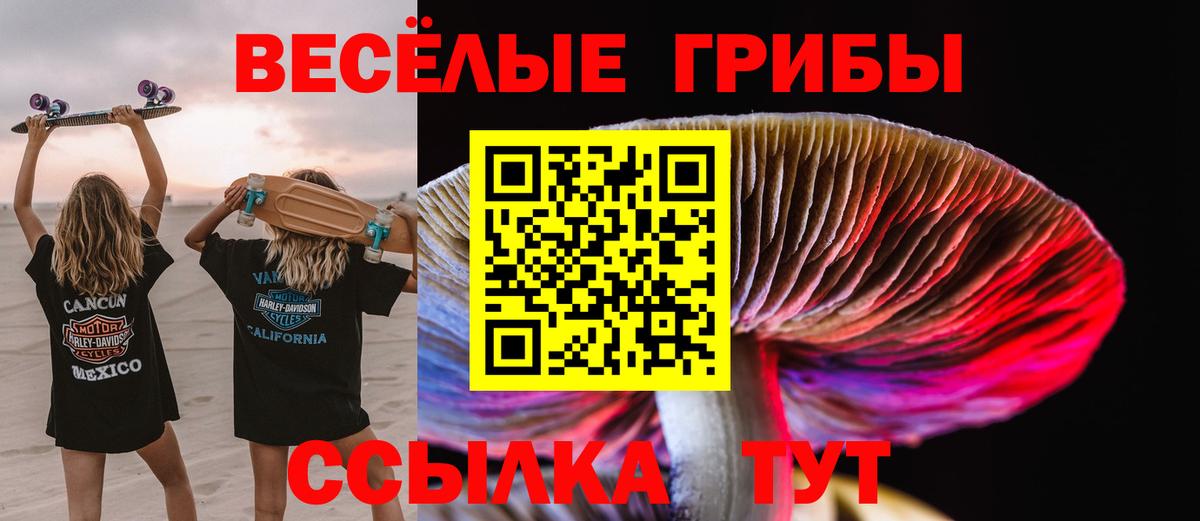 Галлюциногенные грибы Psilocybine cubensis Нефтекумск